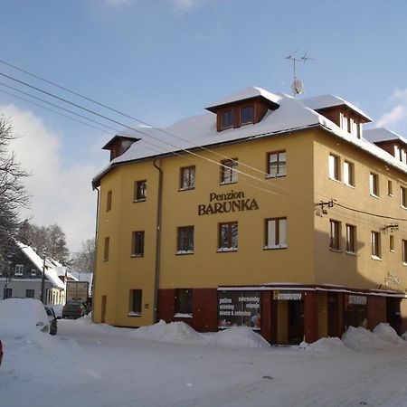 Penzion Barunka Vysoke nad Jizerou Luaran gambar